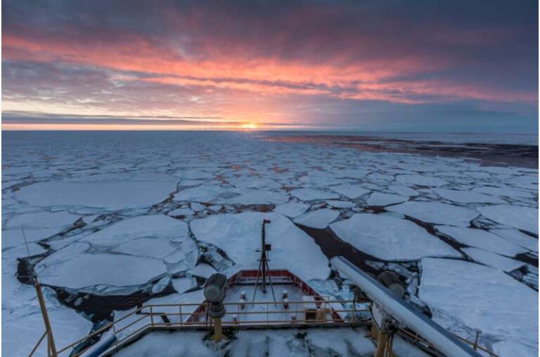 Solar energy explains fast yearly retreat of Antarctica’s sea ice