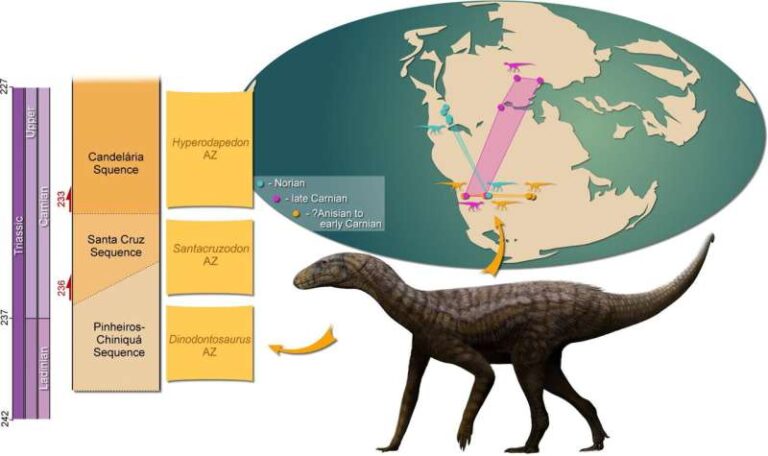 Fossil unearthed in Brazil is 237-million-year-old sister-group to Dinosauria